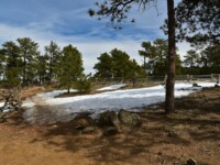2026 Guide to Protecting Your Car’s Paint From Colorado Sun and Hail Damage
