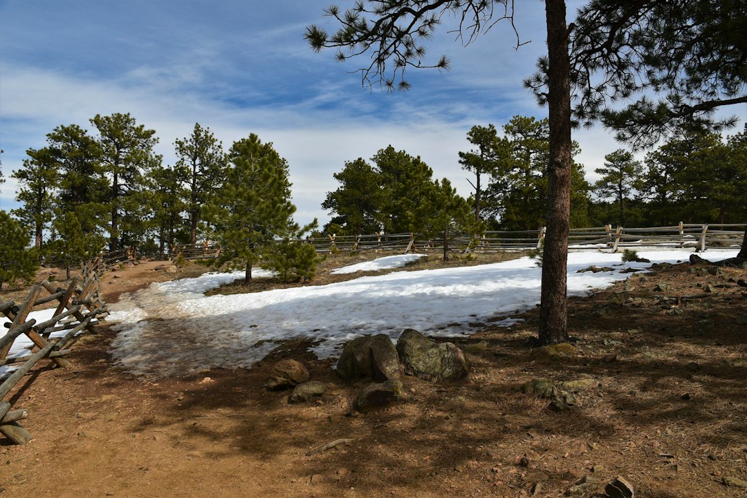2026 Guide to Protecting Your Car’s Paint From Colorado Sun and Hail Damage