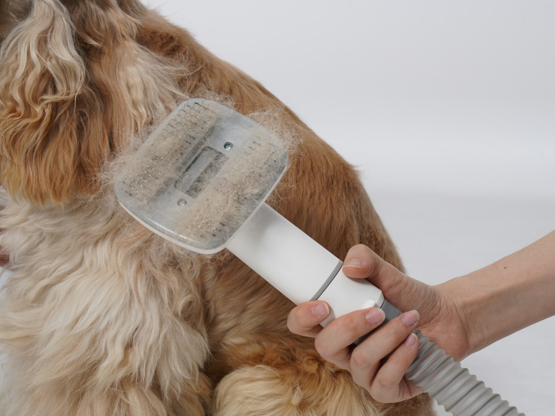Five Reasons Pet Hair Is Harder to Remove Than You Think (And What Professional Detailing Actually Does About It)