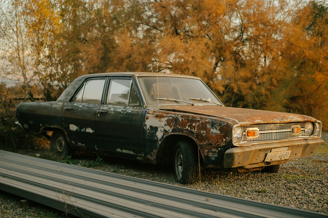 Bring Faded Oxidised Paint Back to Life With Professional Restoration
